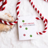Fur Grandparents Christmas Card