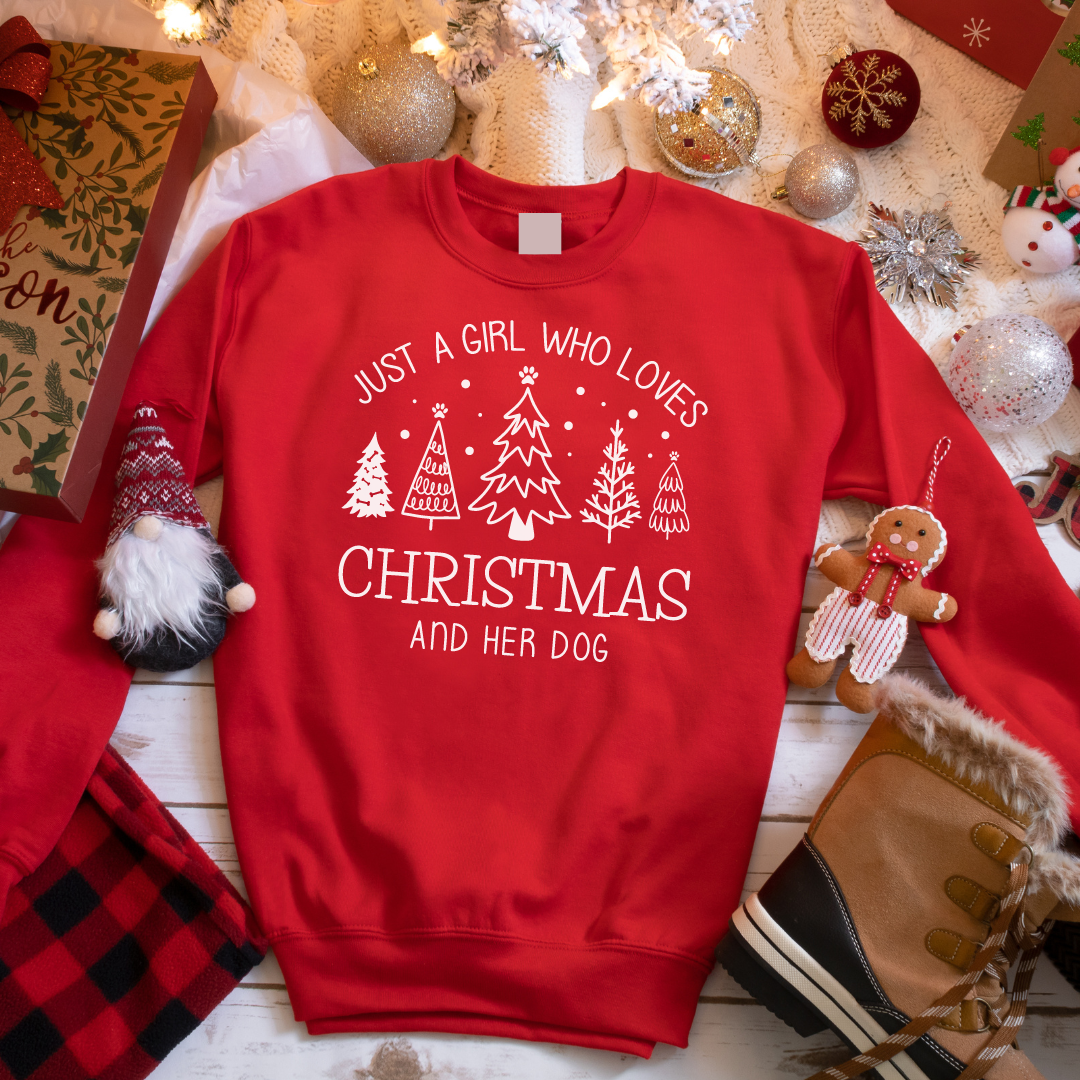 A Girl Who Loves Christmas || DOG
